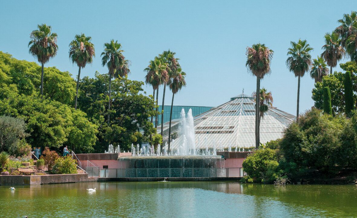 Photo of Others in La Californie