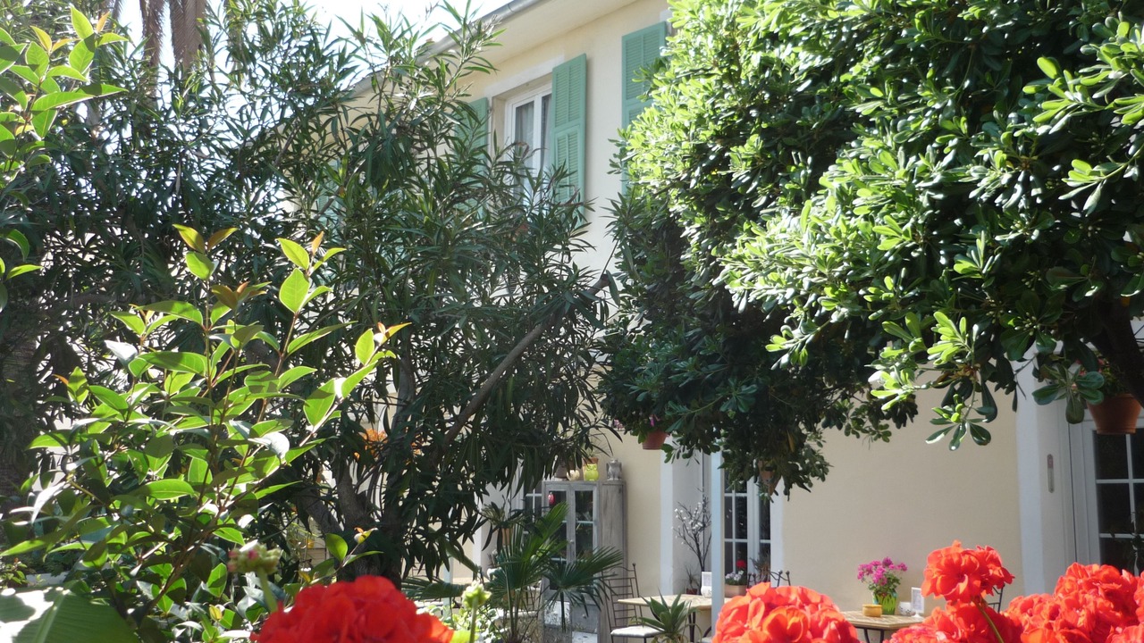 Photo of Outdoor in La Californie