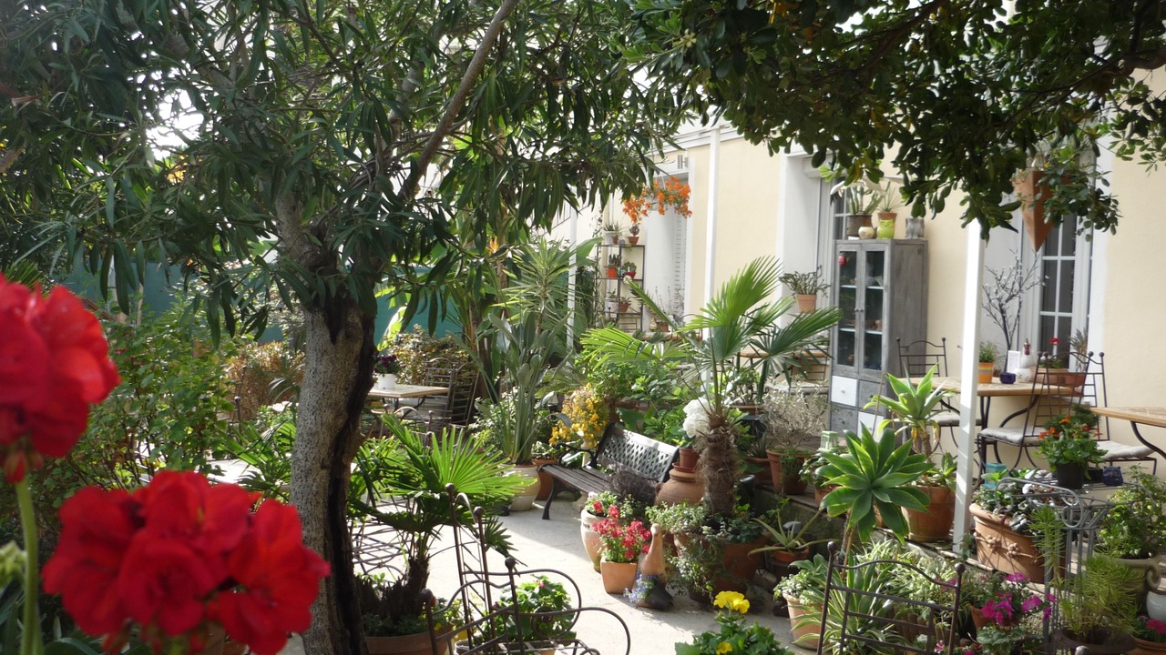 Photo of Outdoor in La Californie