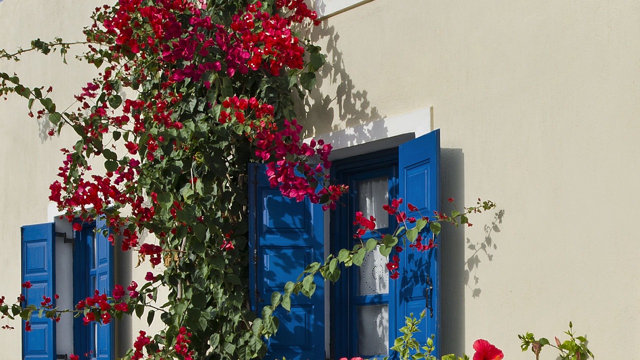 Photo of Outdoor in Perissa