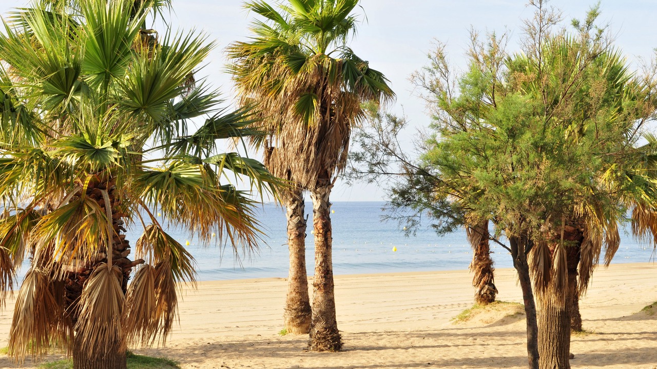 Photo of Outdoor in Frejus Port