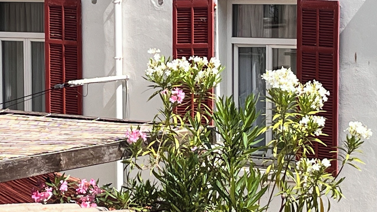 Photo of Patio Balcony in Juan-les-Pins