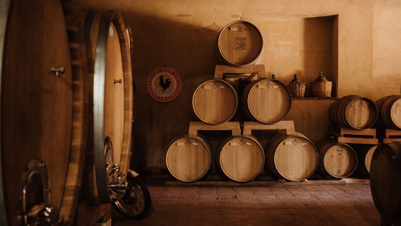 Photo of Others in Castelnuovo Berardenga