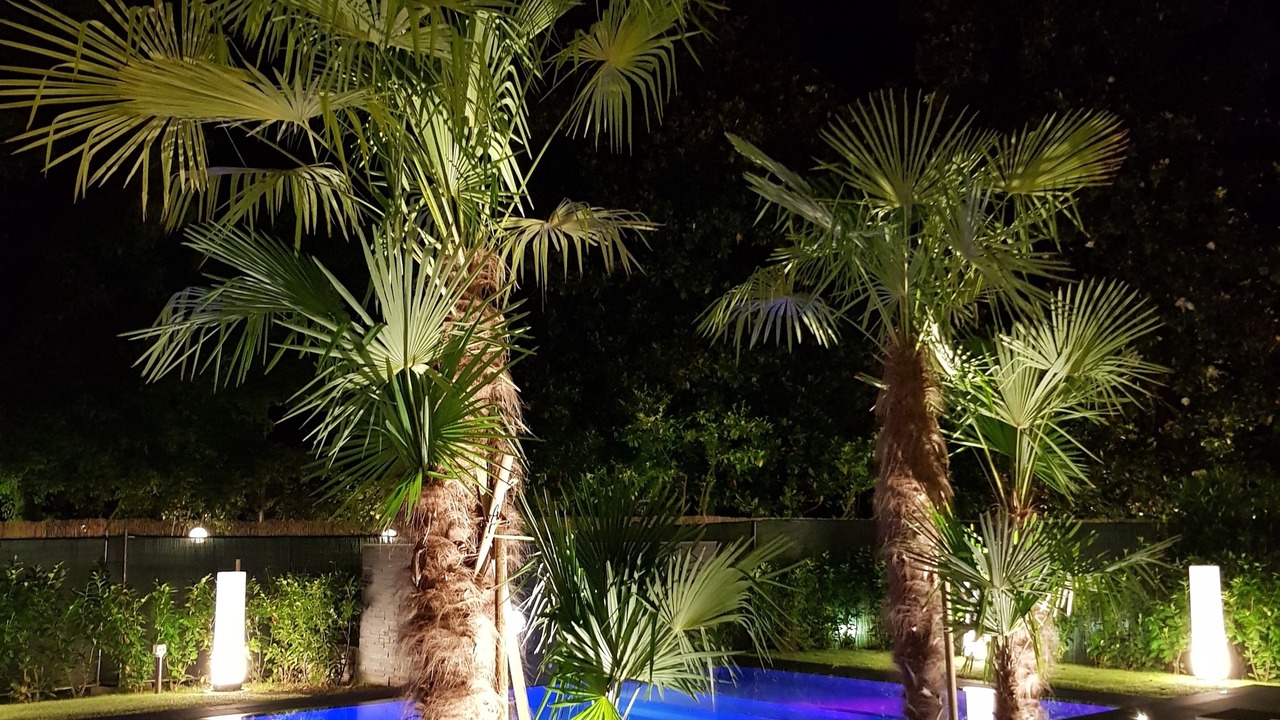 Photo of Outdoor in Lunata