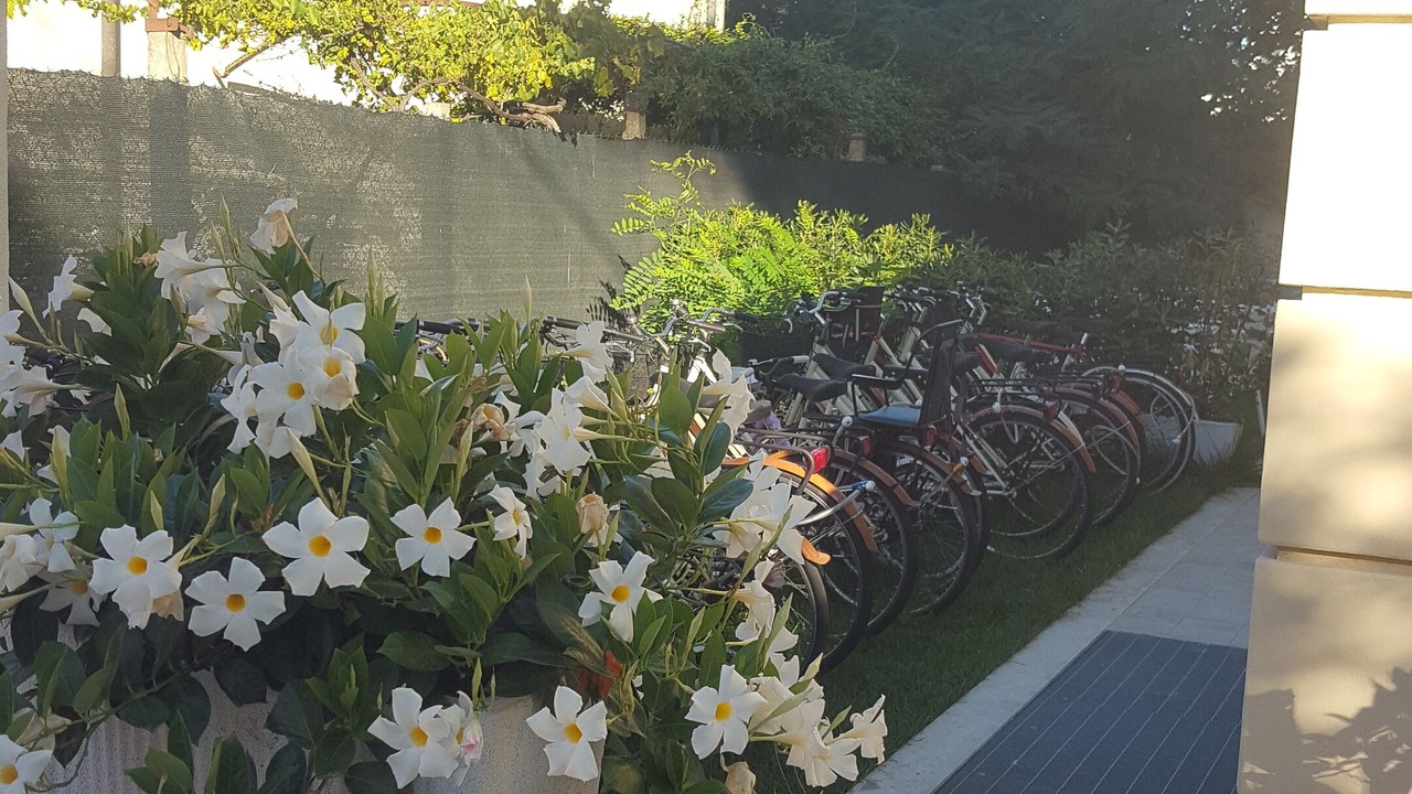 Photo of Outdoor in Marina di Pietrasanta