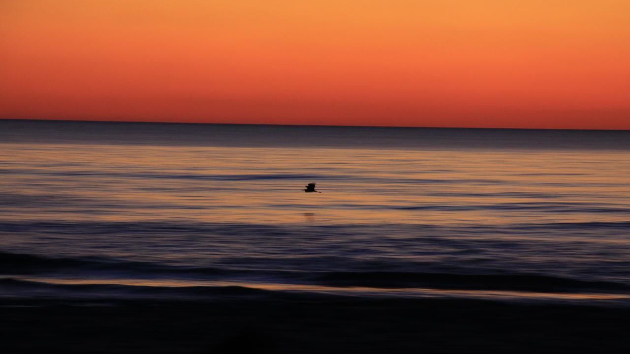 Photo of Others in Marina di Pietrasanta