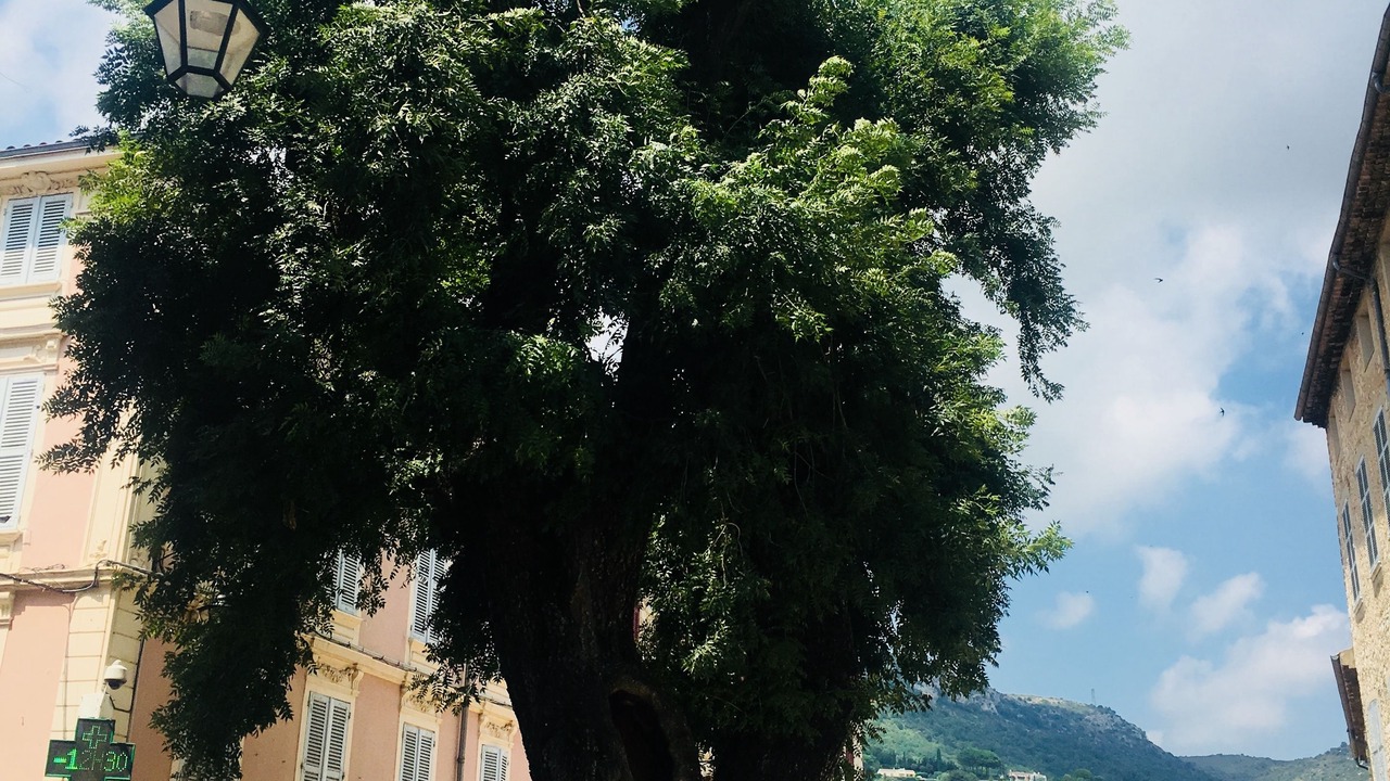 Photo of Outdoor in Vence