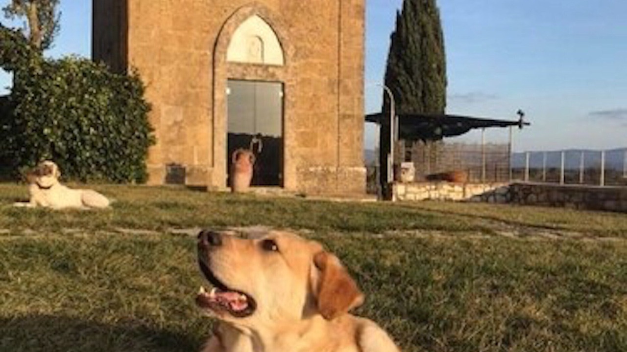 Photo of Others in Castel San Gimignano