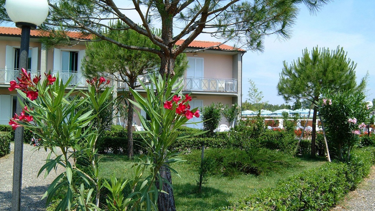 Photo of Outdoor in Mazzanta