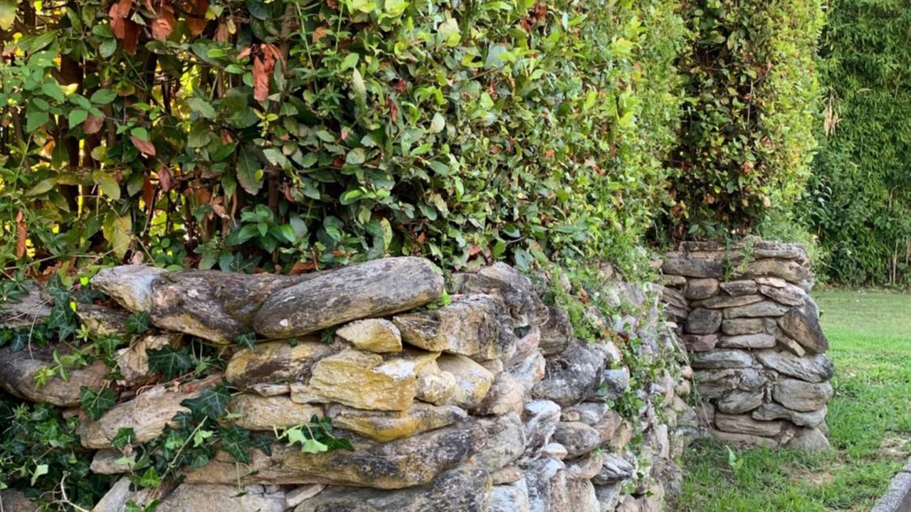 Photo of Outdoor in Montignoso