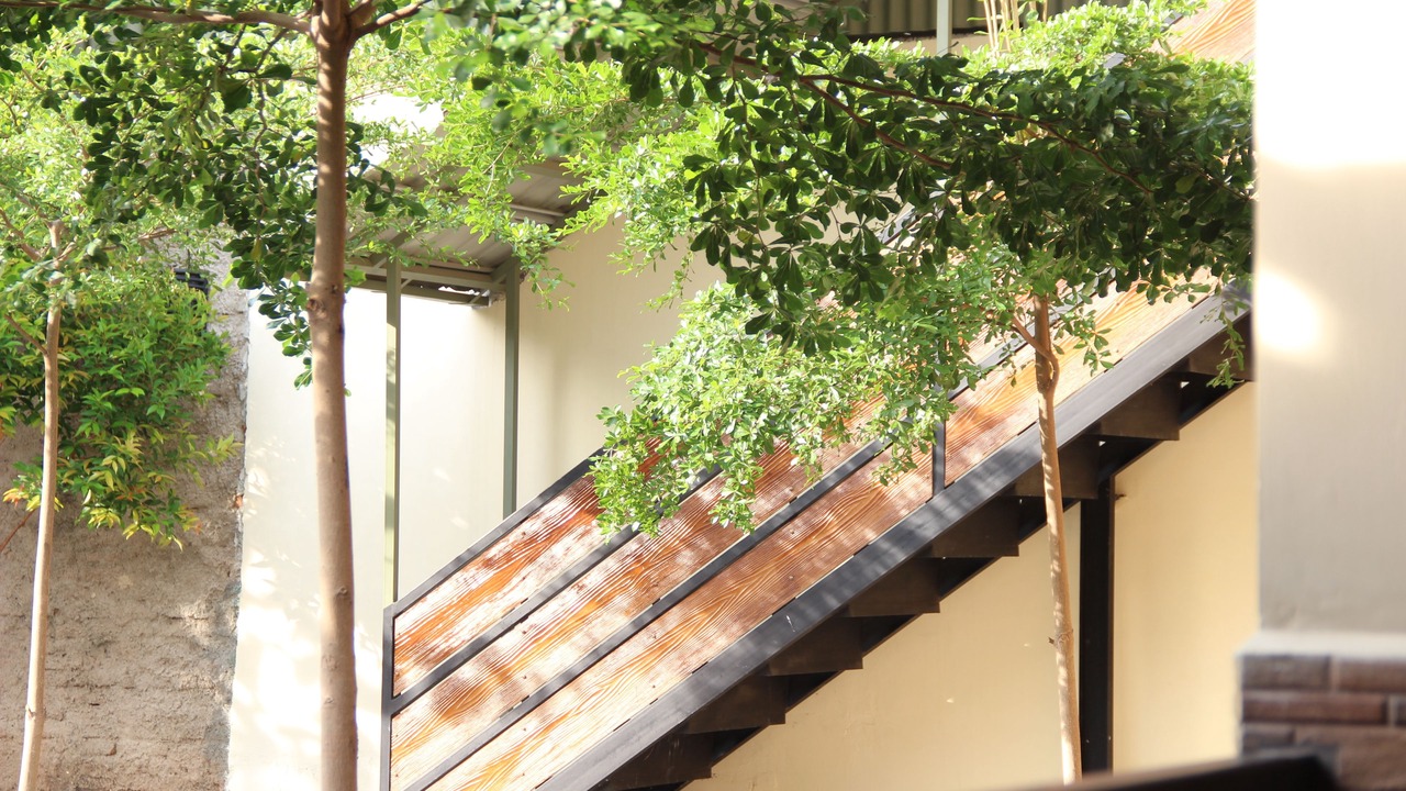 Photo of Outdoor in Rajabasa