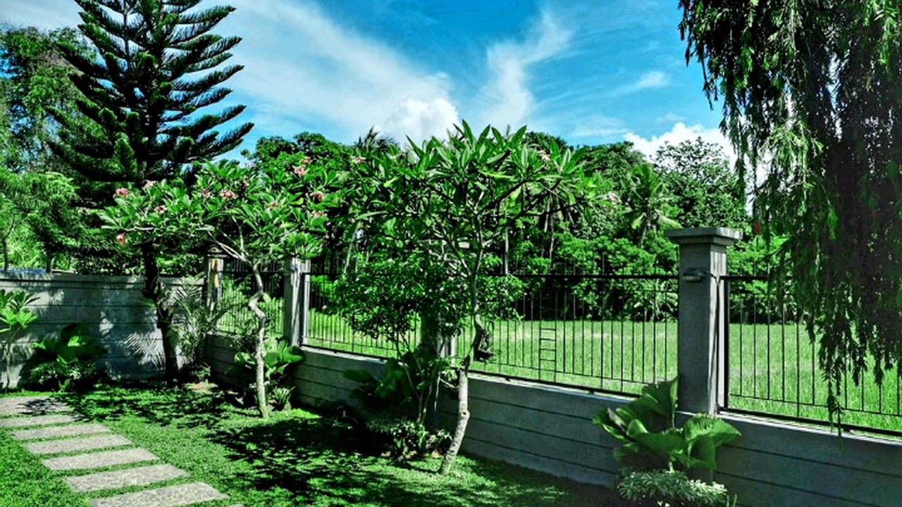 Photo of Outdoor in Beraban