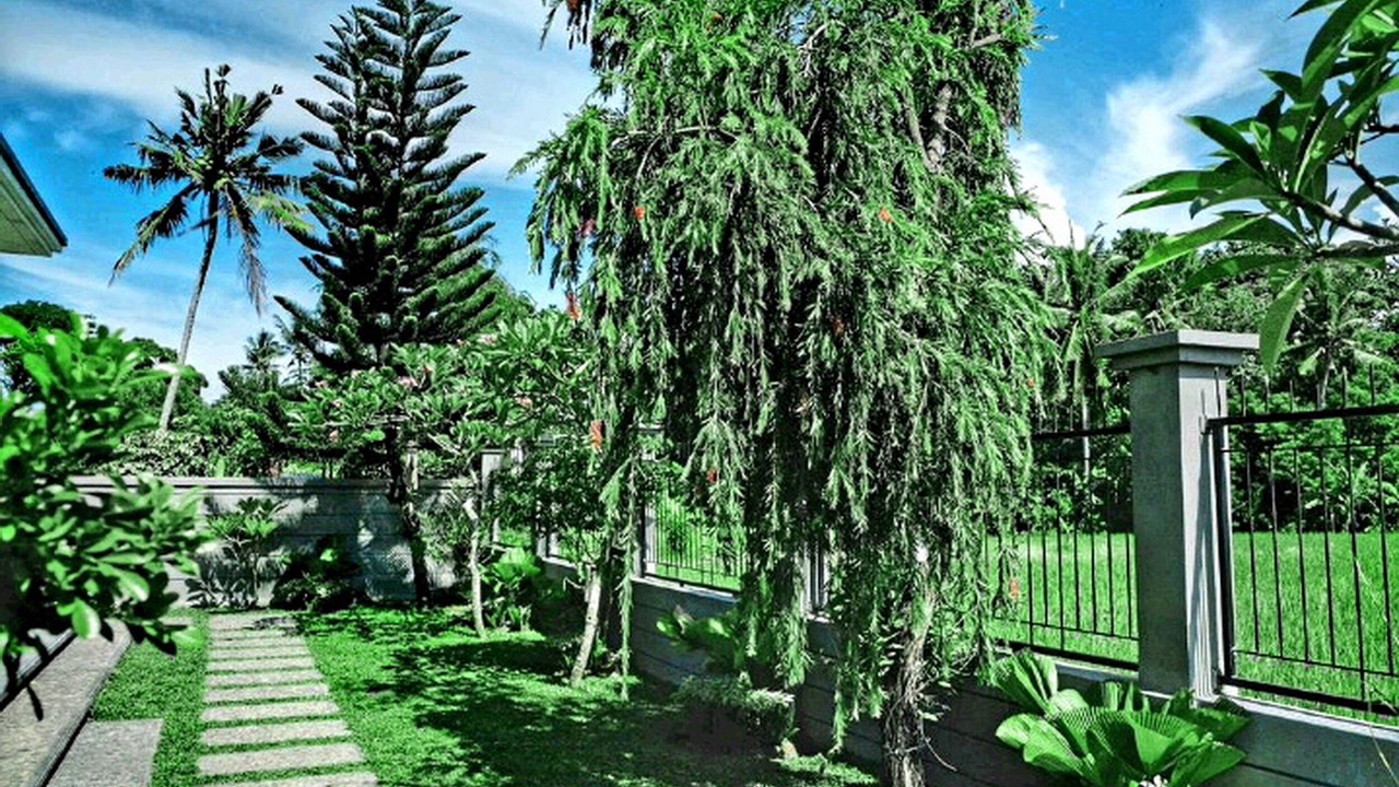 Photo of Outdoor in Beraban