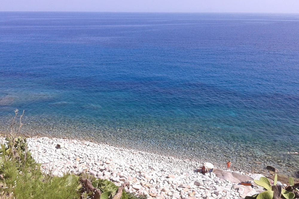 Photo of Others in Zanca