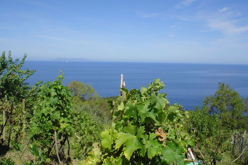 Photo of Others in Zanca