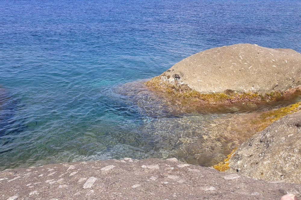 Photo of Others in Zanca