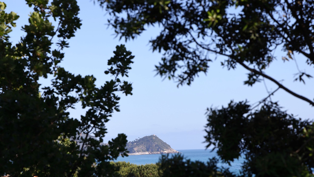 Photo of Outdoor in Cavi