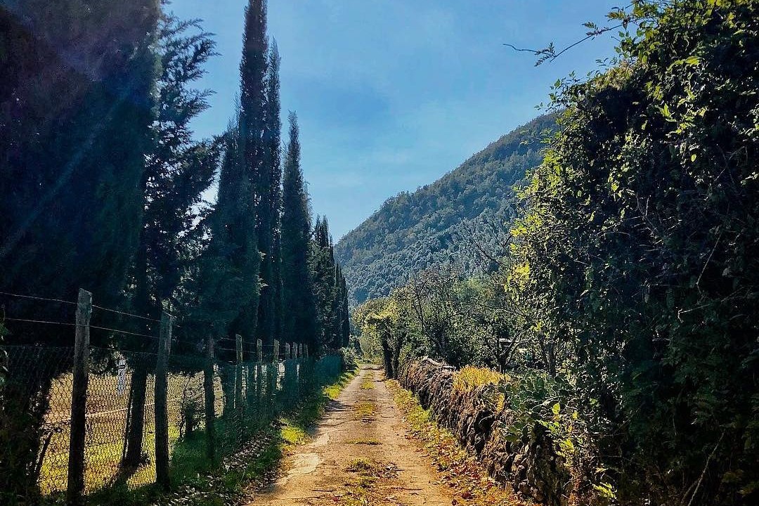 Photo of Outdoor in Gragnola