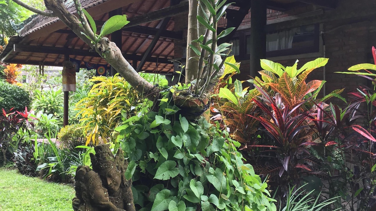 Photo of Outdoor in Penestanan