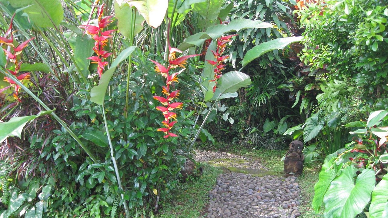 Photo of Outdoor in Penestanan