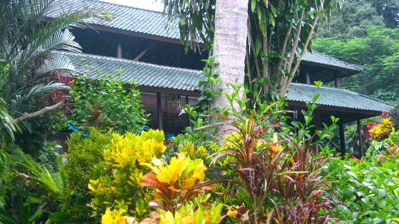 Photo of Outdoor in Penestanan