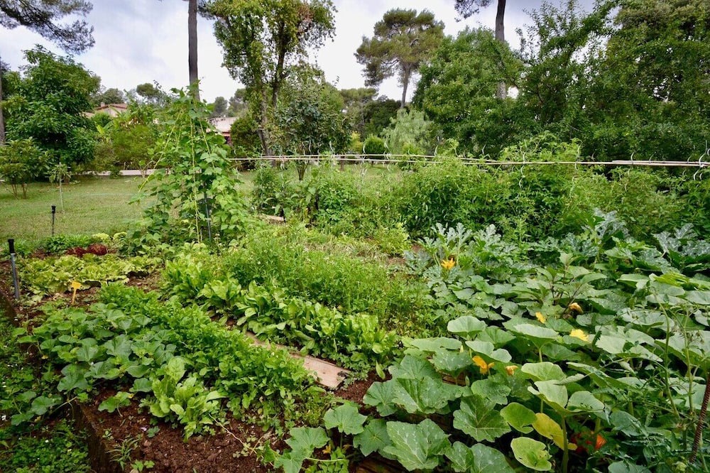 Photo of Outdoor in Saint-Paul-de-Vence