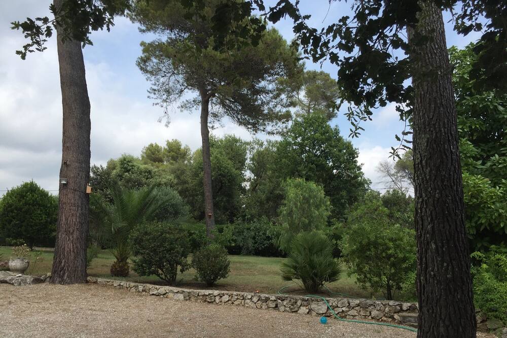 Photo of Outdoor in Saint-Paul-de-Vence