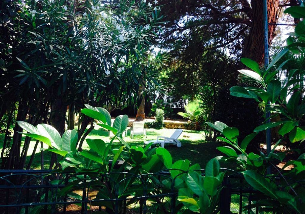 Photo of Outdoor in Cannes