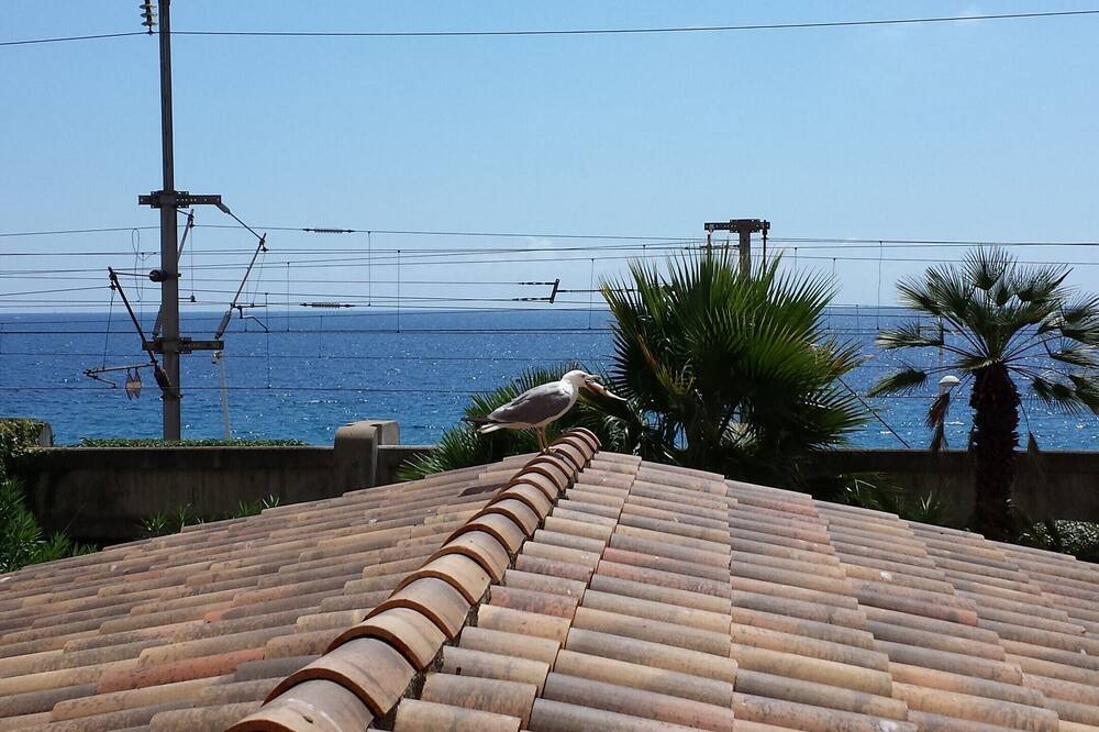 Photo of Others in Cannes La Bocca