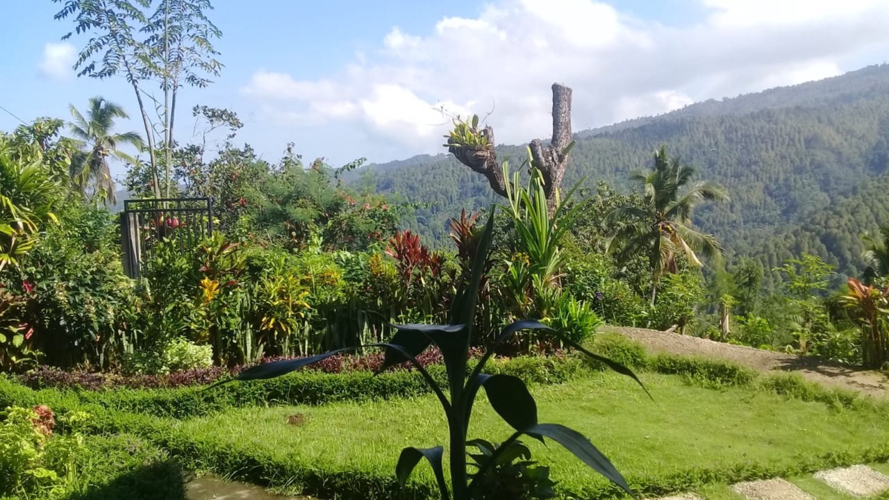 Photo of Outdoor in Munduk