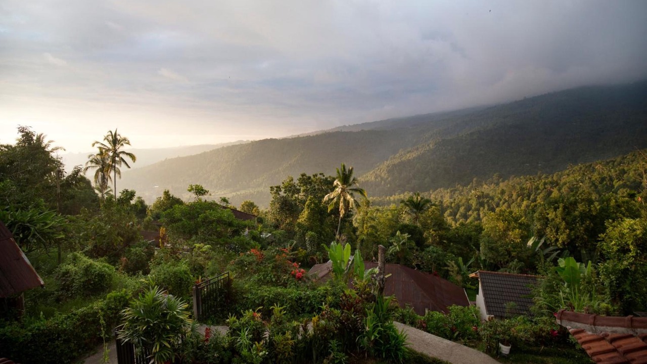 Photo of Outdoor in Munduk