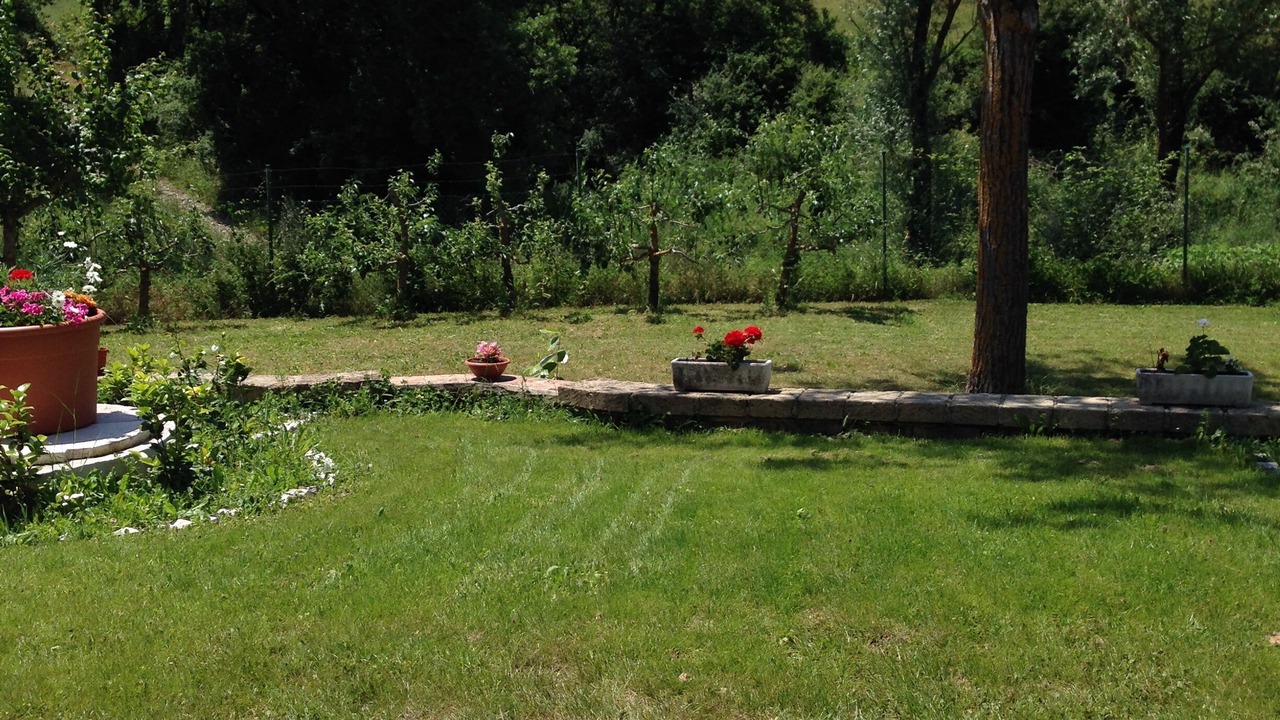 Photo of Outdoor in Sarteano