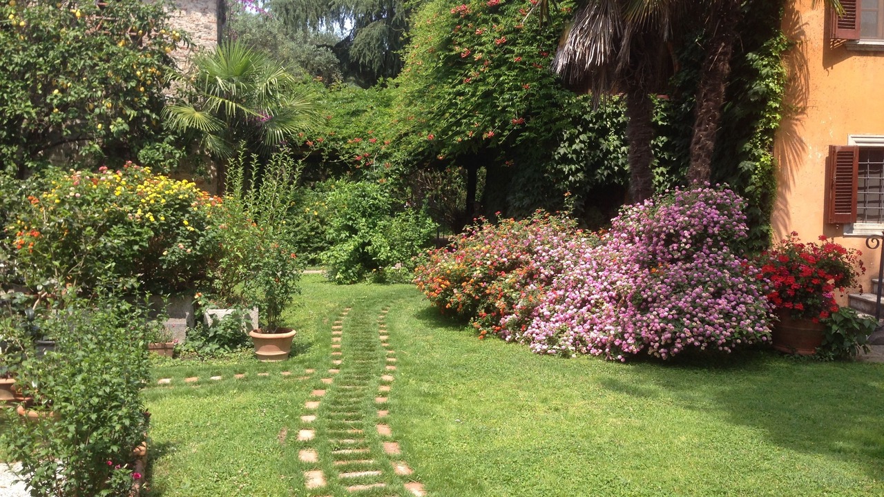 Photo of Outdoor in Querceta