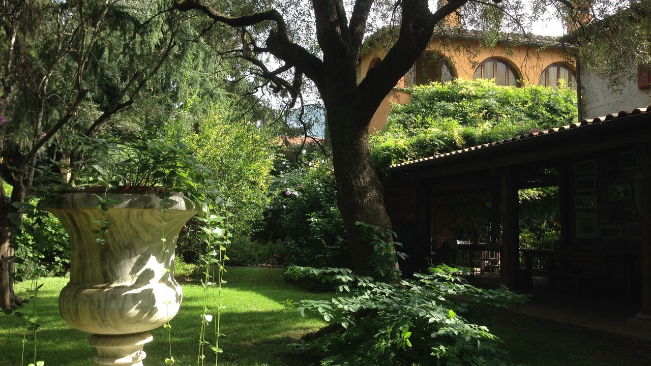 Photo of Outdoor in Querceta