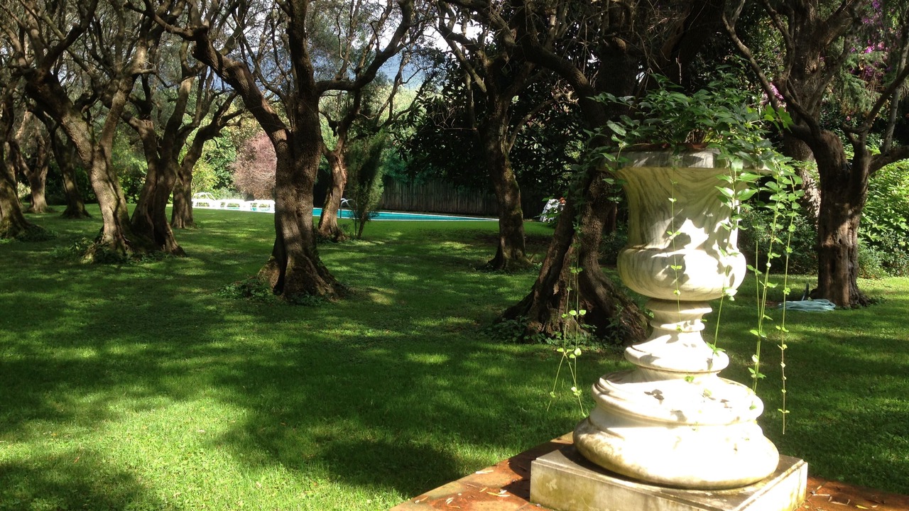 Photo of Outdoor in Querceta