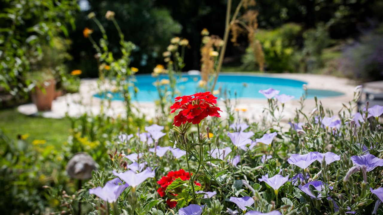Photo of Outdoor in Le Rouret