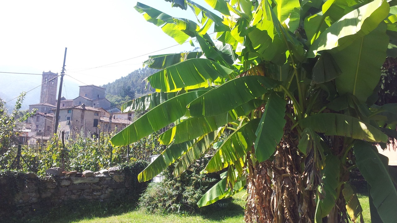 Photo of Outdoor in Sant'Andrea di Compito