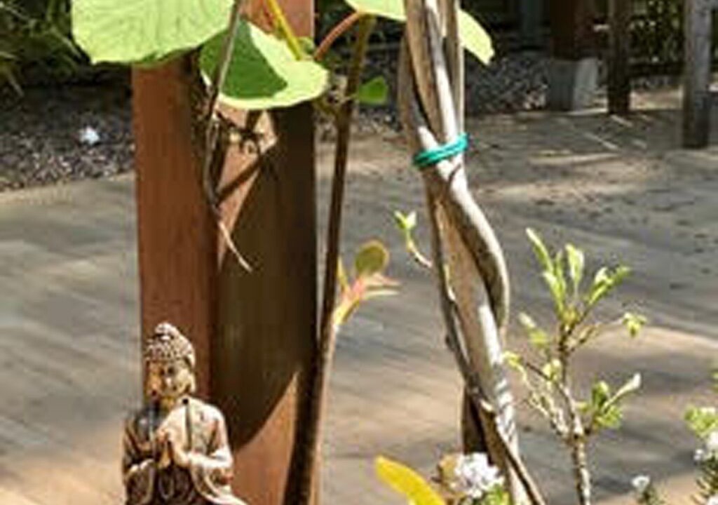Photo of Outdoor in Roquefort-les-Pins
