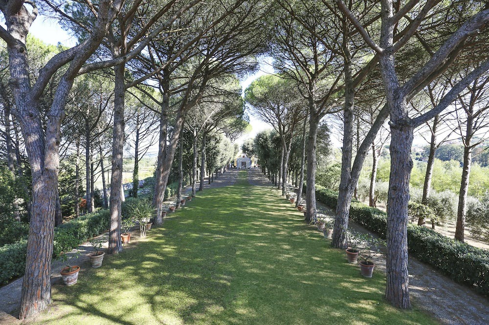 Photo of Outdoor in Fauglia