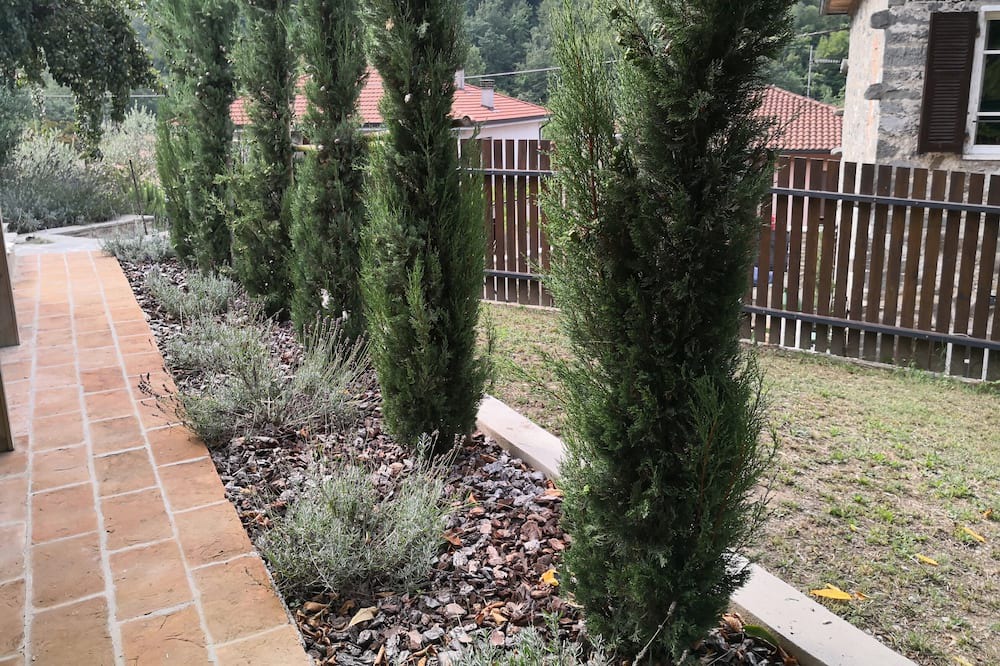 Photo of Outdoor in Comano