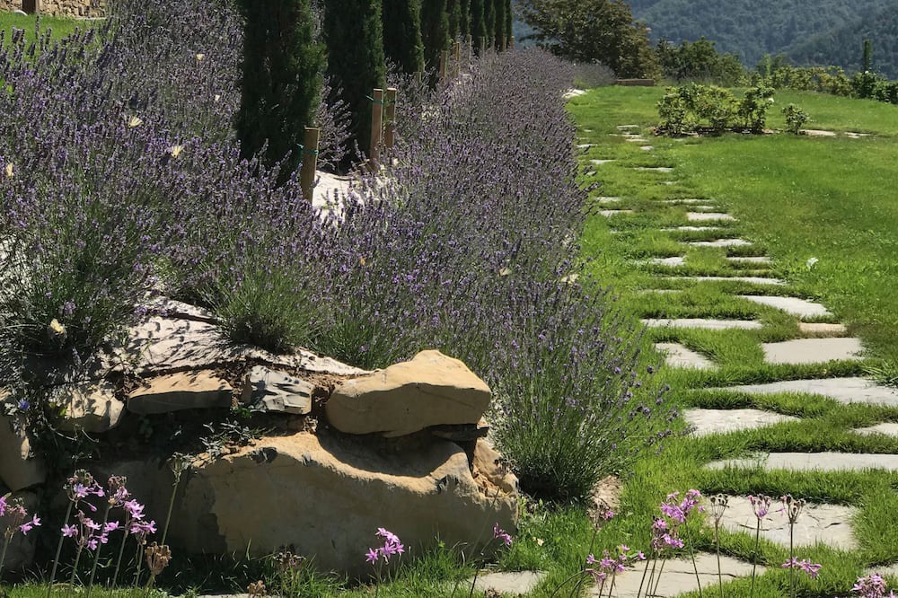 Photo of Outdoor in Licciana Nardi