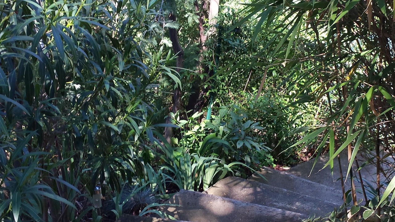 Photo of Outdoor in Contes