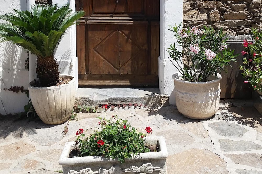 Photo of Others in La Garde-Freinet