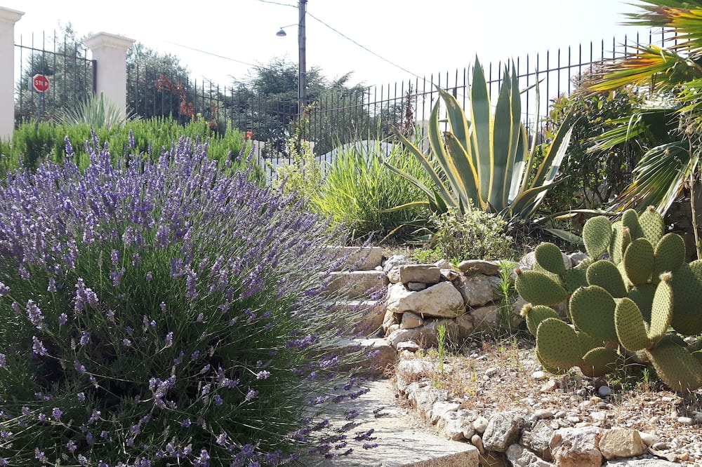 Photo of Outdoor in Saint Pierre de Feric