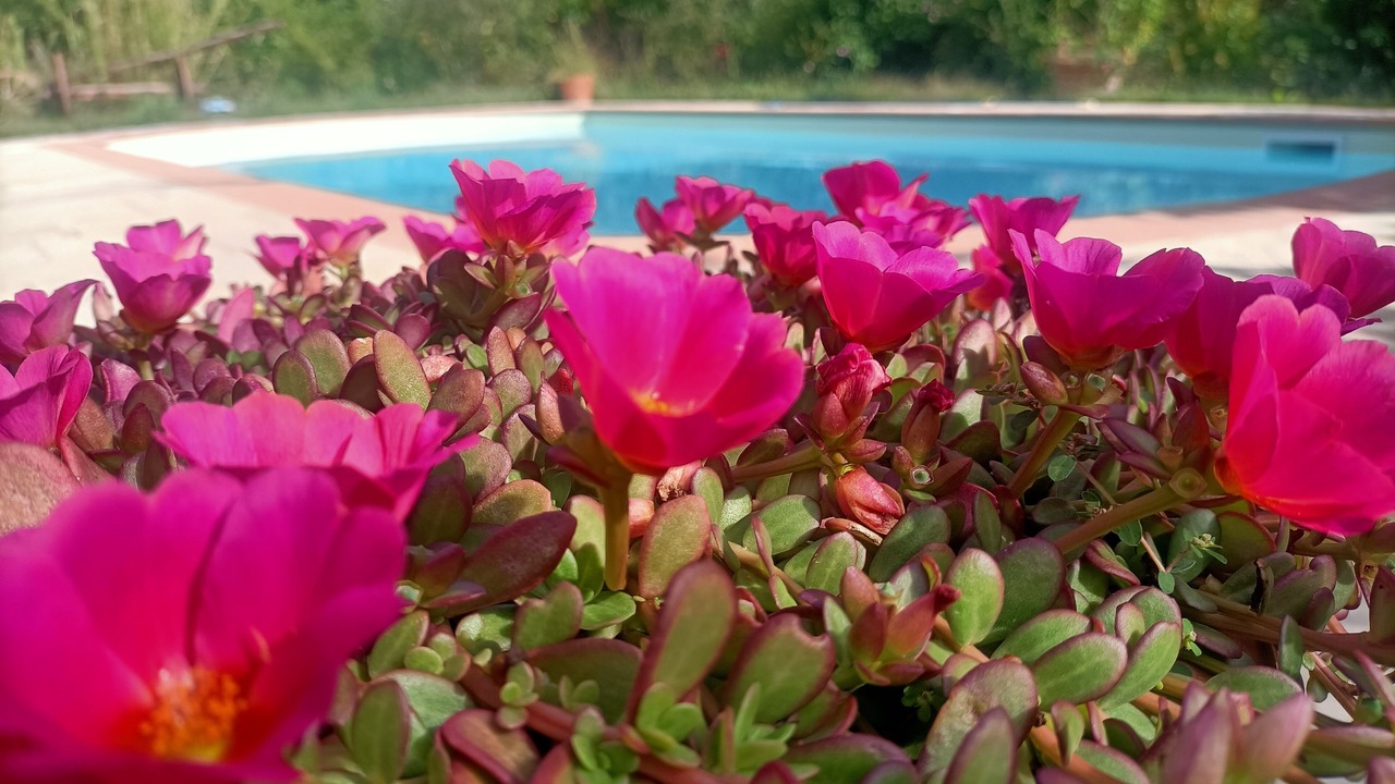 Photo of Outdoor in Reggello