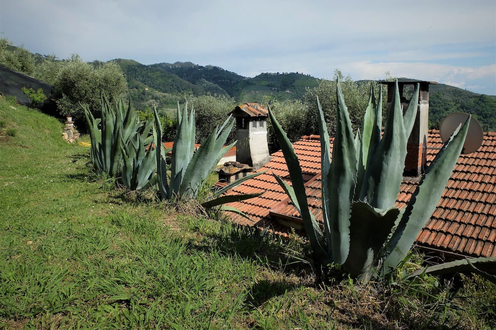 Photo of Others in Stiava