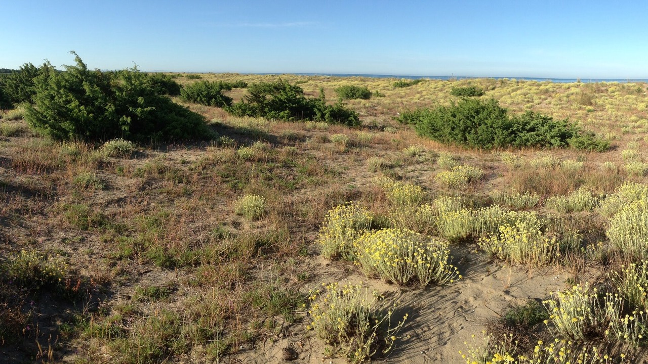 Photo of Outdoor in Ex Campo d'Aviazione