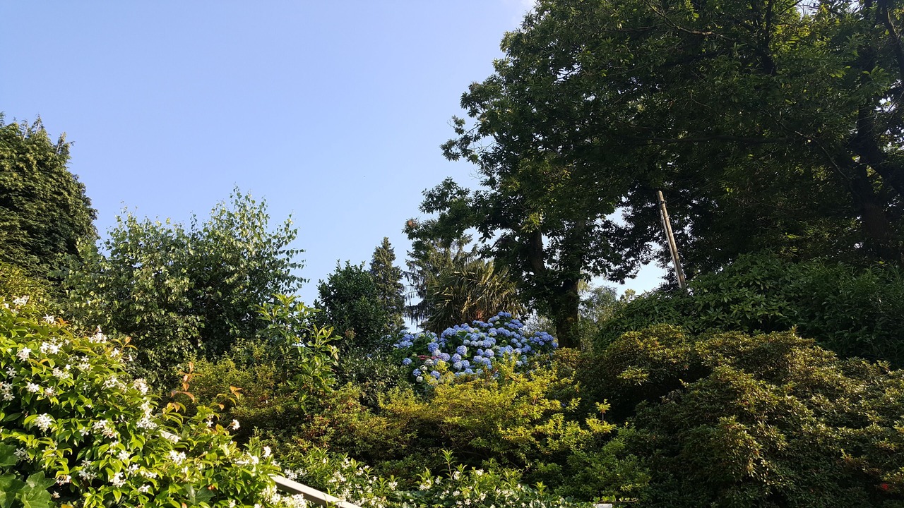 Photo of Outdoor in Laveno
