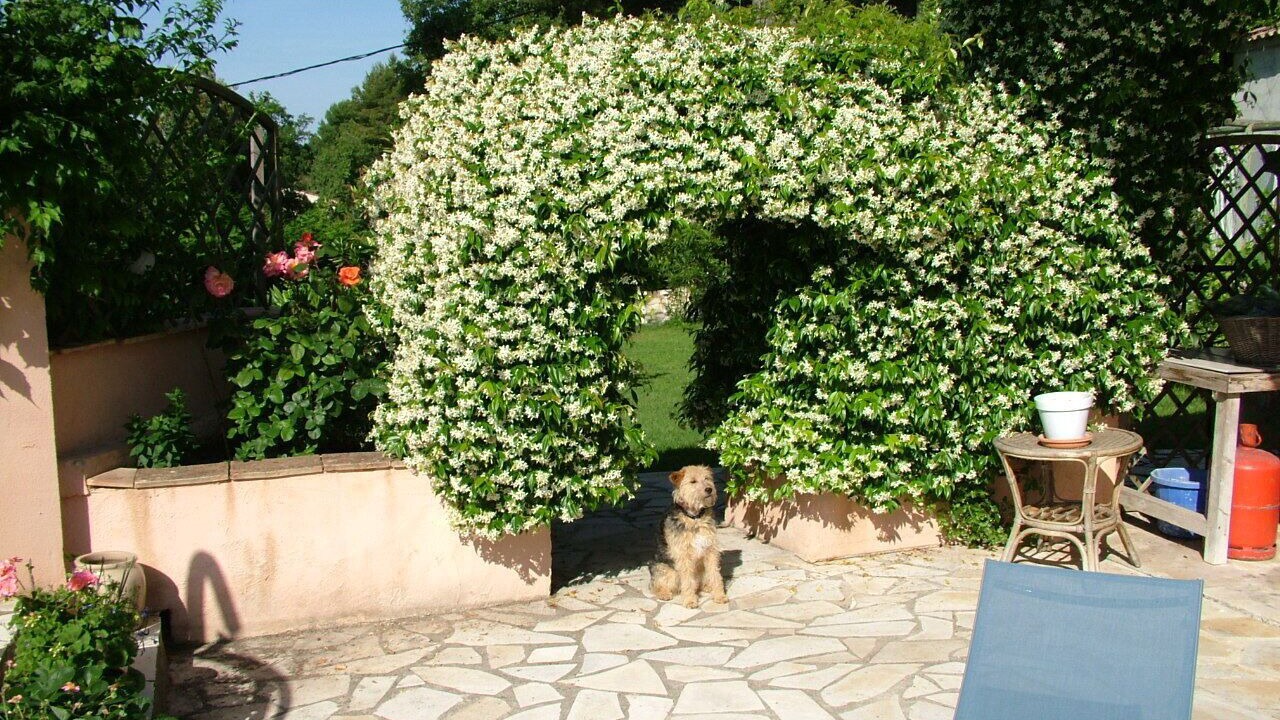 Photo of Patio Balcony in Tourrettes-sur-Loup