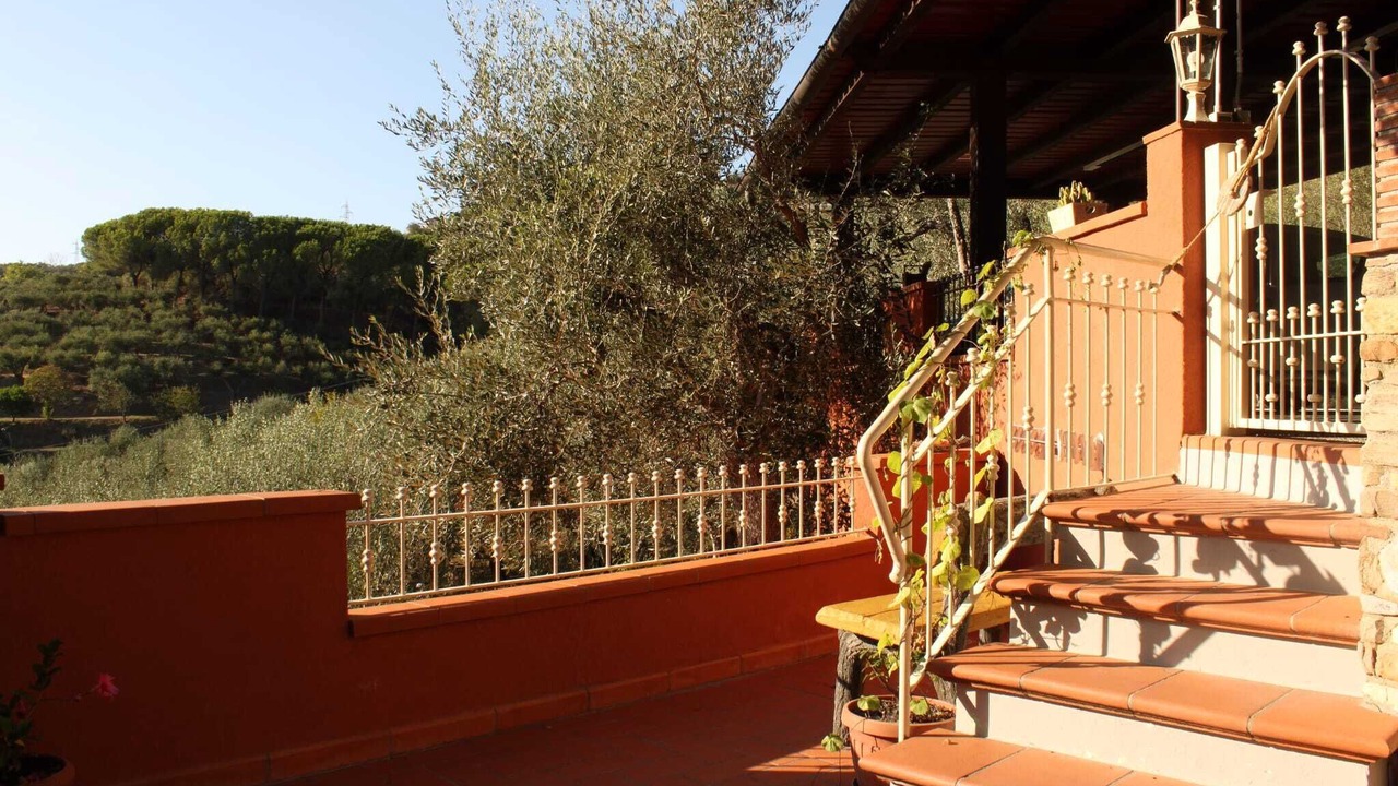 Photo of Outdoor in Massarosa